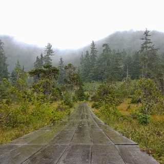 Sladjana Neskovic photo