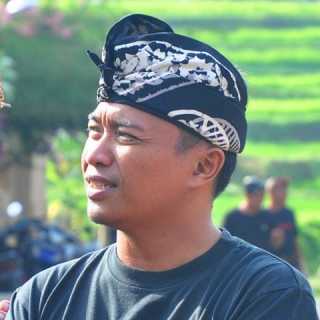 Gede Danantara photo