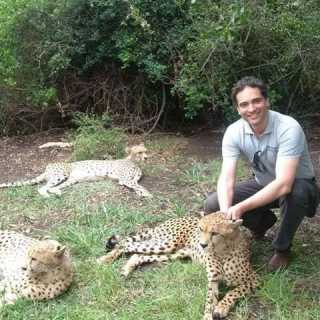 Mircea Maracineanu photo