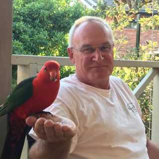 Stephen Miller photo