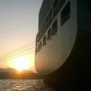 Nicolaas van-Crombruggen photo