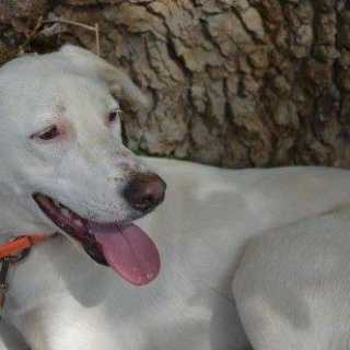 Michael Kueppenbender photo