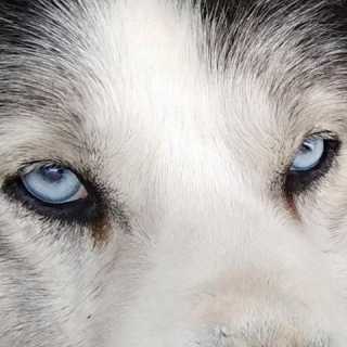 Stefan Wieners photo