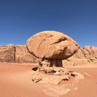 Veronique Ingold photo