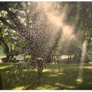 Kim Van-de-Vel photo