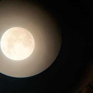 Takamasa Nakita photo