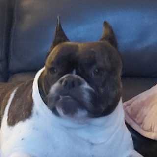 Nico-En-Patricia Wuyts photo