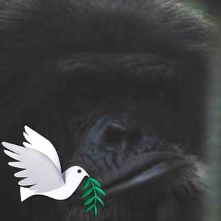 Andrew Cartwright photo