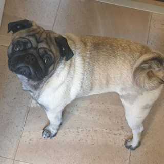 Nathan Messenger photo