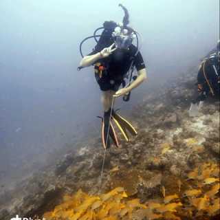 Rhiannon Matthews photo