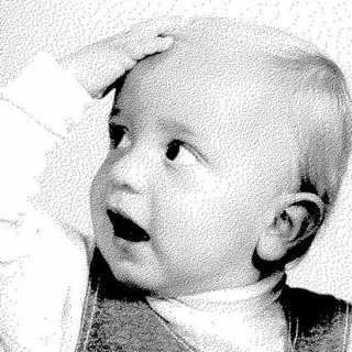 Martin Schmatz photo