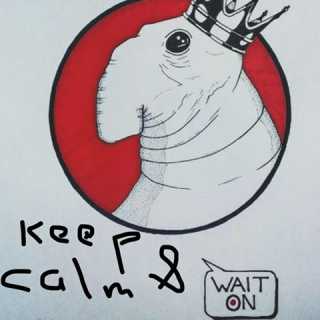 Константин Яковенко photo