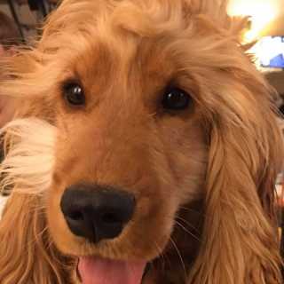 Gregory Labalette photo