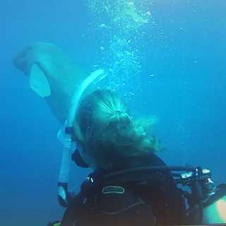 Bianca Koopmans photo