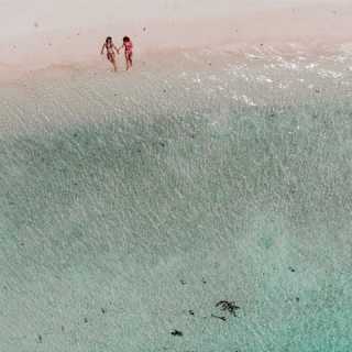 Stephanie Tessens photo