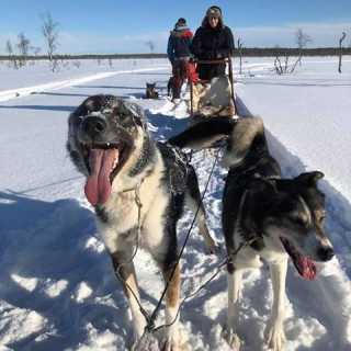 Paul Griffiths photo