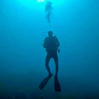 Hans van-Meteren photo