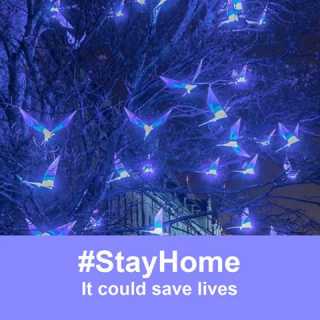 Claire Tillekaerts photo