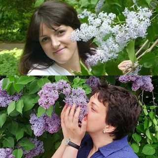 Наталья Барабаш photo