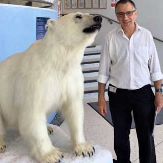 Alexander Pachai photo