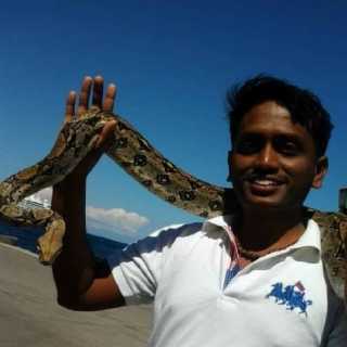 Suresh Rajkumar photo