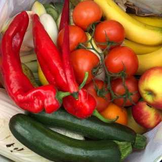 Linda Rose Smit photo