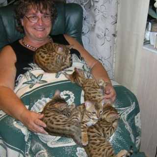 Anneli Dahlskog photo