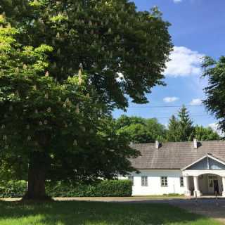 Katarzyna Dauksza-Byrdy photo