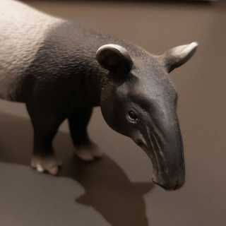 Nobuo Takamori photo