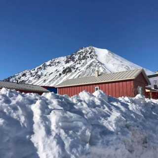Юлия Егорова