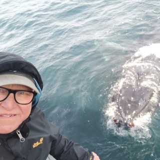 Patrick Vertongen photo