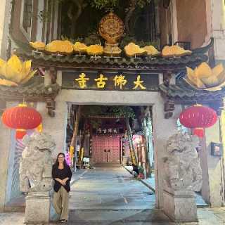 Daniela Mercado Despot photo