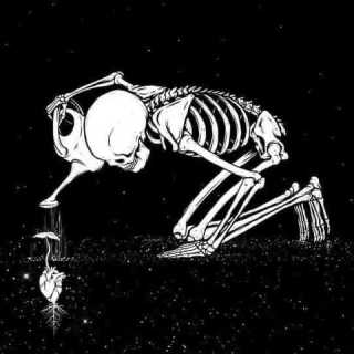 Aga Sekułowicz photo