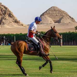 Mario Margiotta photo