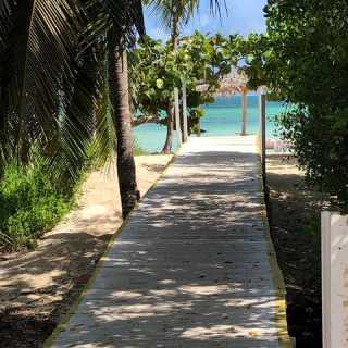 Wendy Johnstone photo