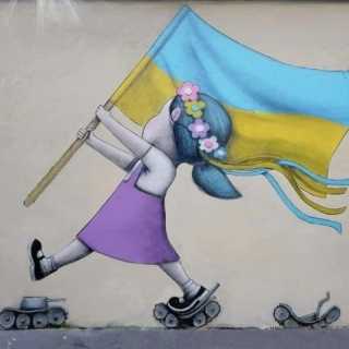 Kelvin Macdonald photo