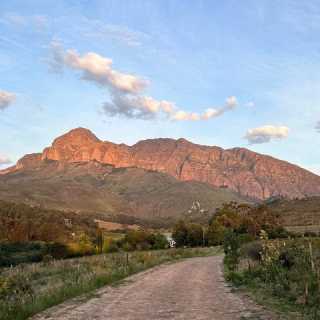 Guillaume Delaunay photo