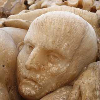 Lluís Polanco photo