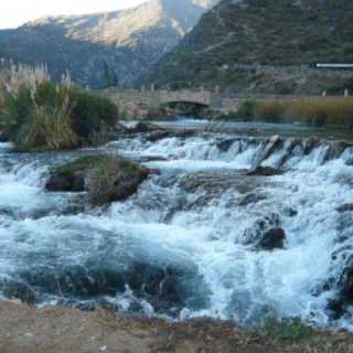 William Aguero photo