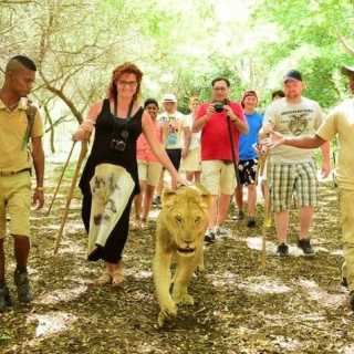 Katarzyna Siewierska-Wasilewska photo