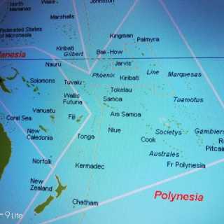 Wilfredo A Pena-Flores photo