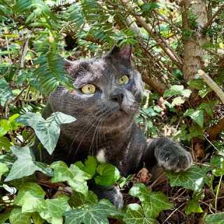 Caroline Blanc photo