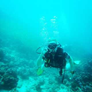 Molly Unterseher photo