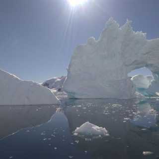 Anders von Hofsten photo