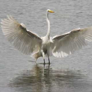 Stuart Henderson photo