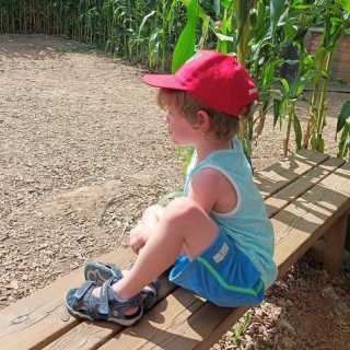 Yves Lambrechts photo