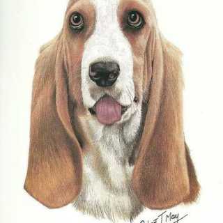 Rogelio Dávila photo