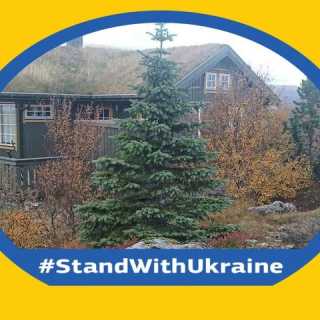 Ásgeir Ólafsson photo