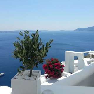 Jenny Phillips photo