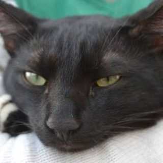 Артур Малёв photo